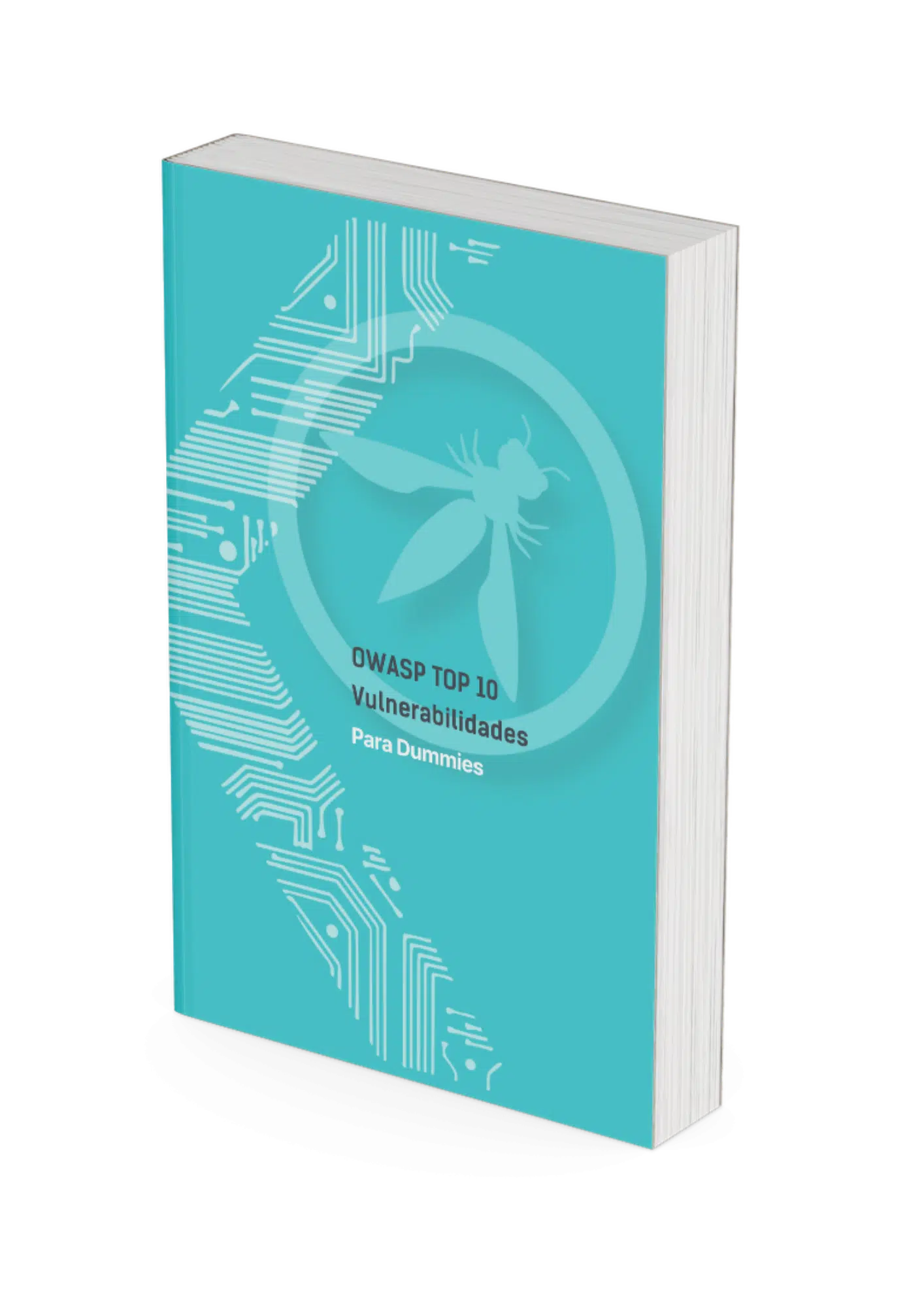 Descarga Gratuita: Guía OWASP TOP 10 RINKU | Hacking ético desde Ø 1 Guía gratuita OWASP TOP 10