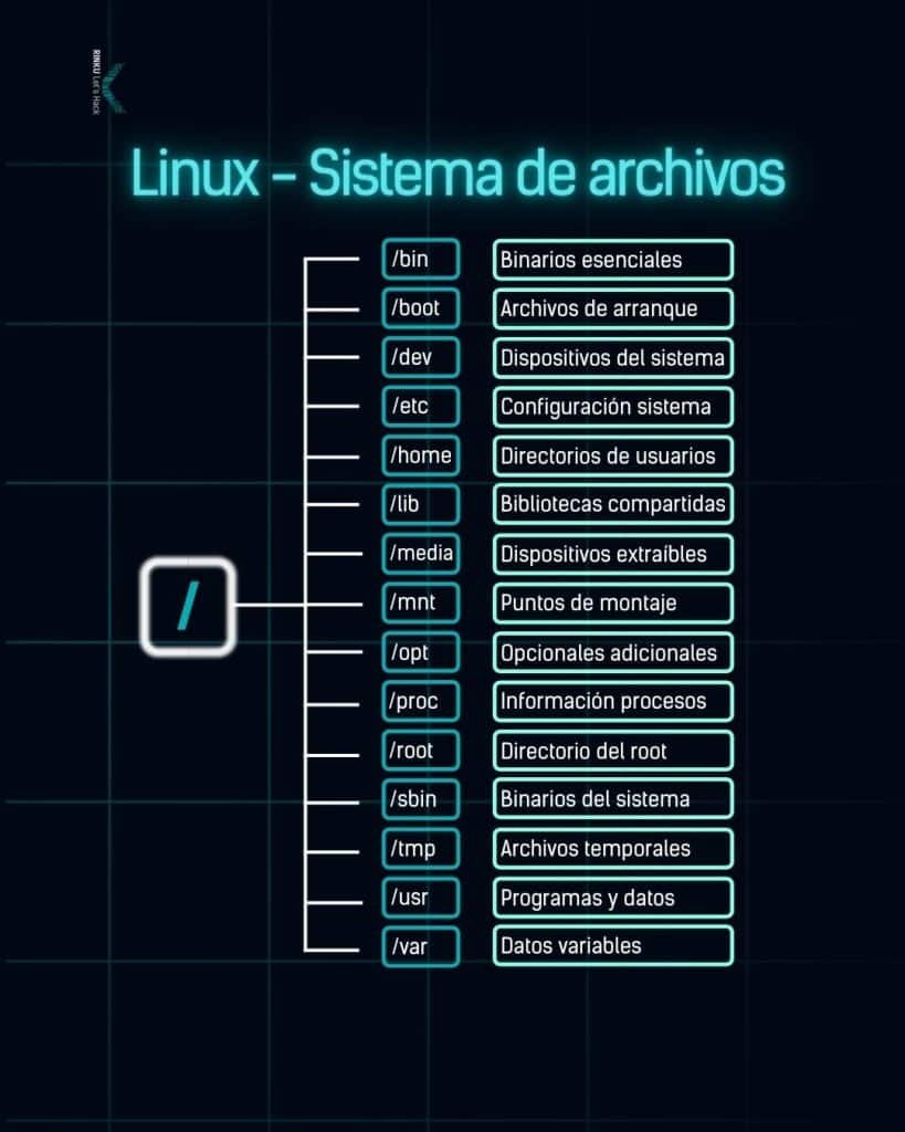 Estructura del sistema en Linux RINKU | Hacking ético desde Ø 1 estructura de directorios en linux RINKU | Hacking ético desde Ø
