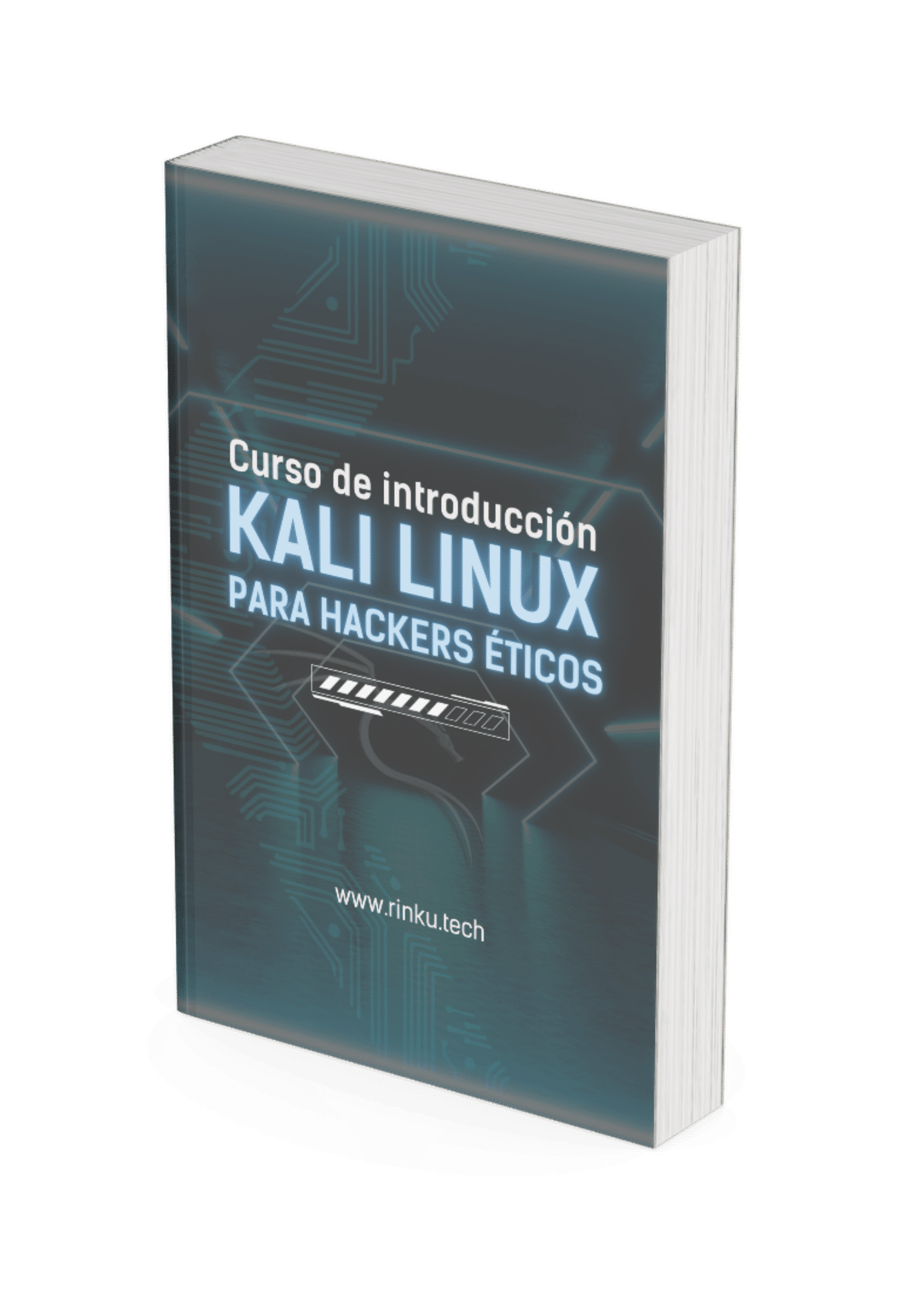 guia gratuita kali linux para principiantes RINKU